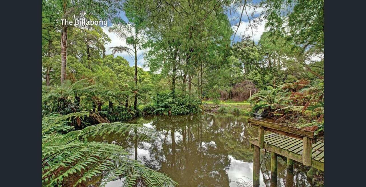 勿忘我小屋旅馆 沃伯顿 外观 照片