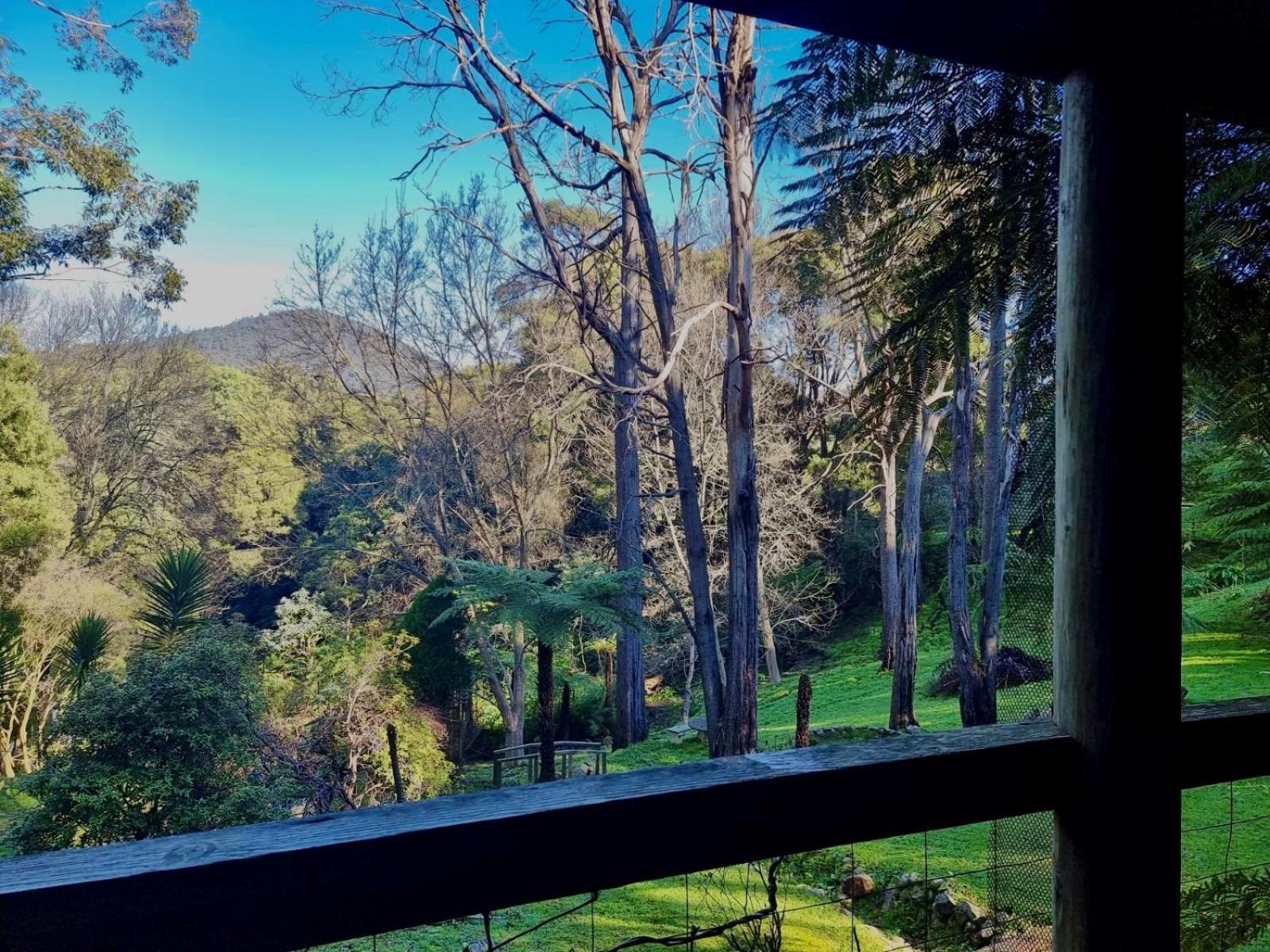 勿忘我小屋旅馆 沃伯顿 外观 照片