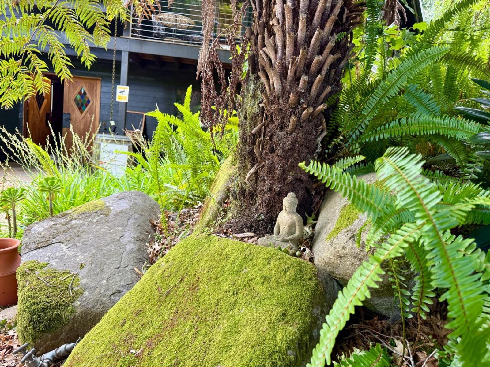 勿忘我小屋旅馆 沃伯顿 外观 照片