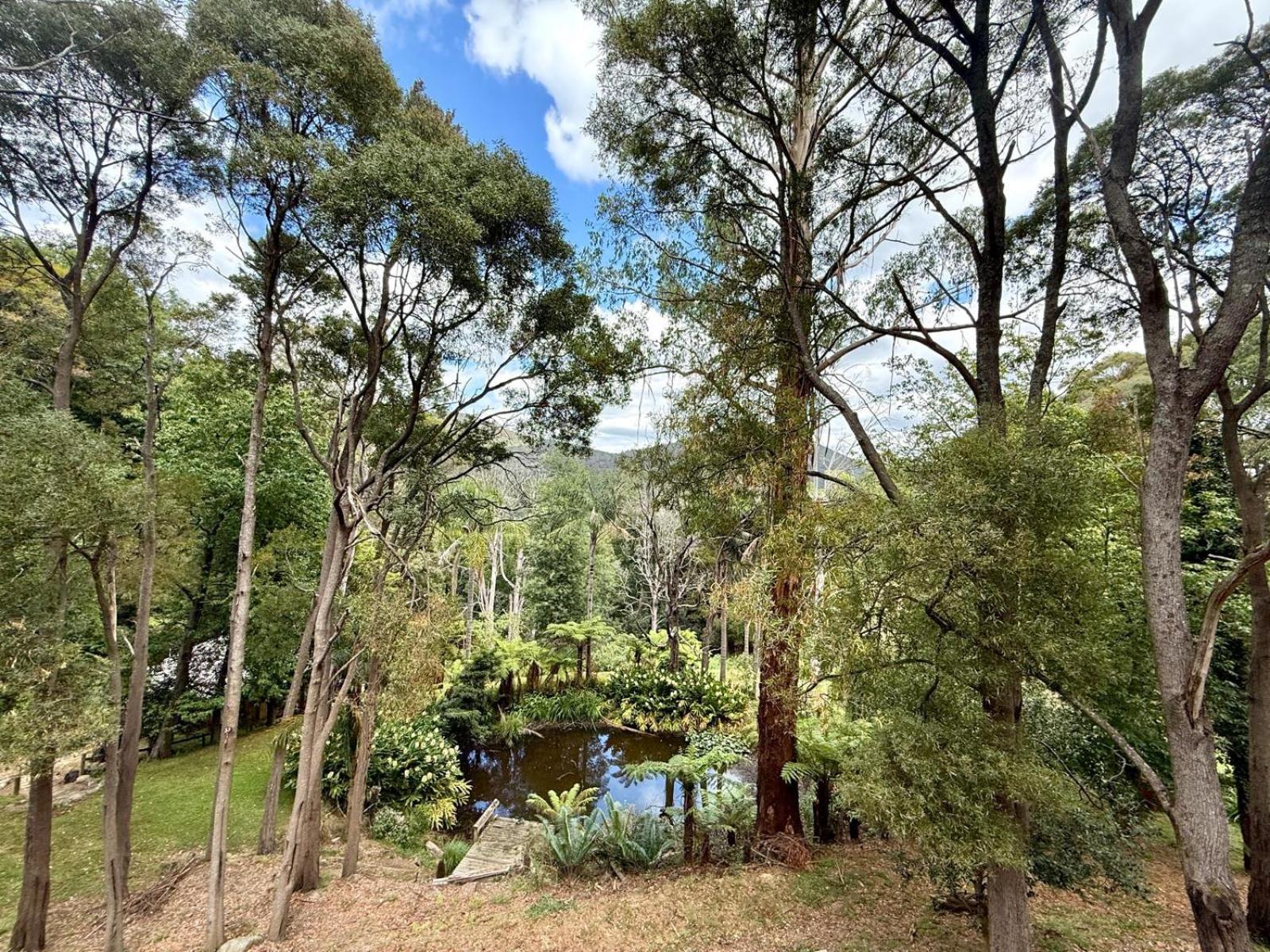 勿忘我小屋旅馆 沃伯顿 外观 照片